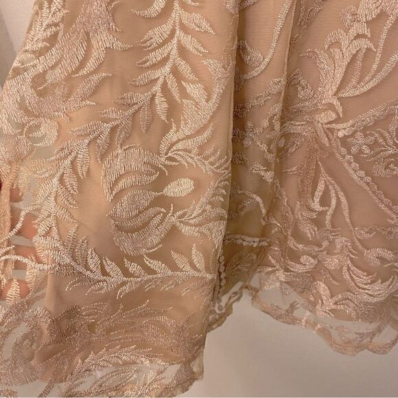 Xtraordinary blush pink beige tan embroidered lace skater Formal Dance - 5 - Picture 8 of 15
